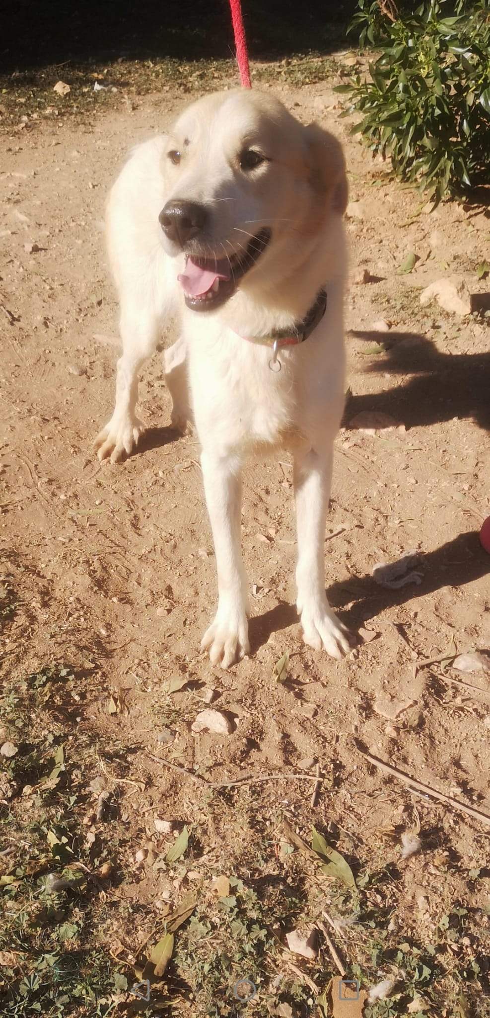 alfie_1163130036027283