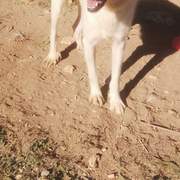 alfie_1163130302693923