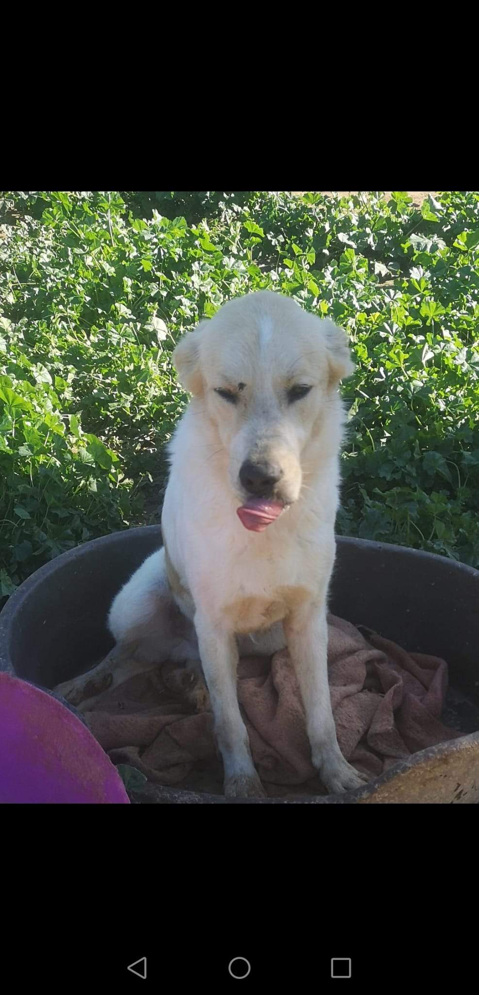 alfie_1197253972614889