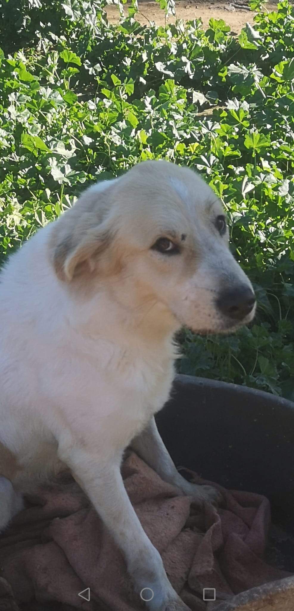 alfie_1197253979281555