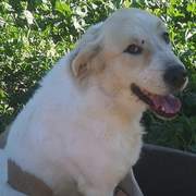 alfie_1197253995948220