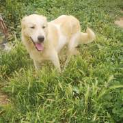 alfie_1285078977165721