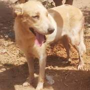 alfie_1393996336273984