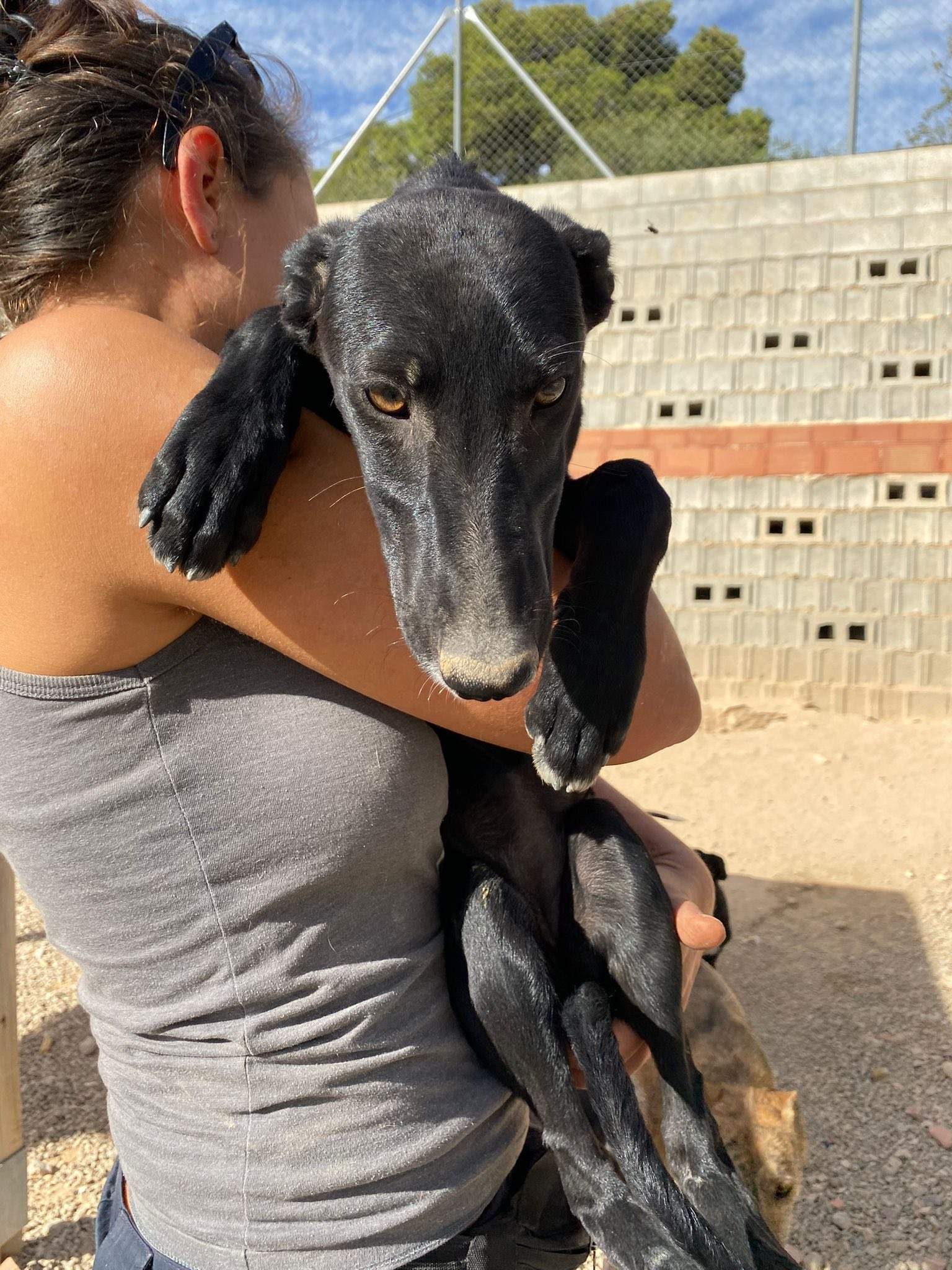 bella_1138072045199749