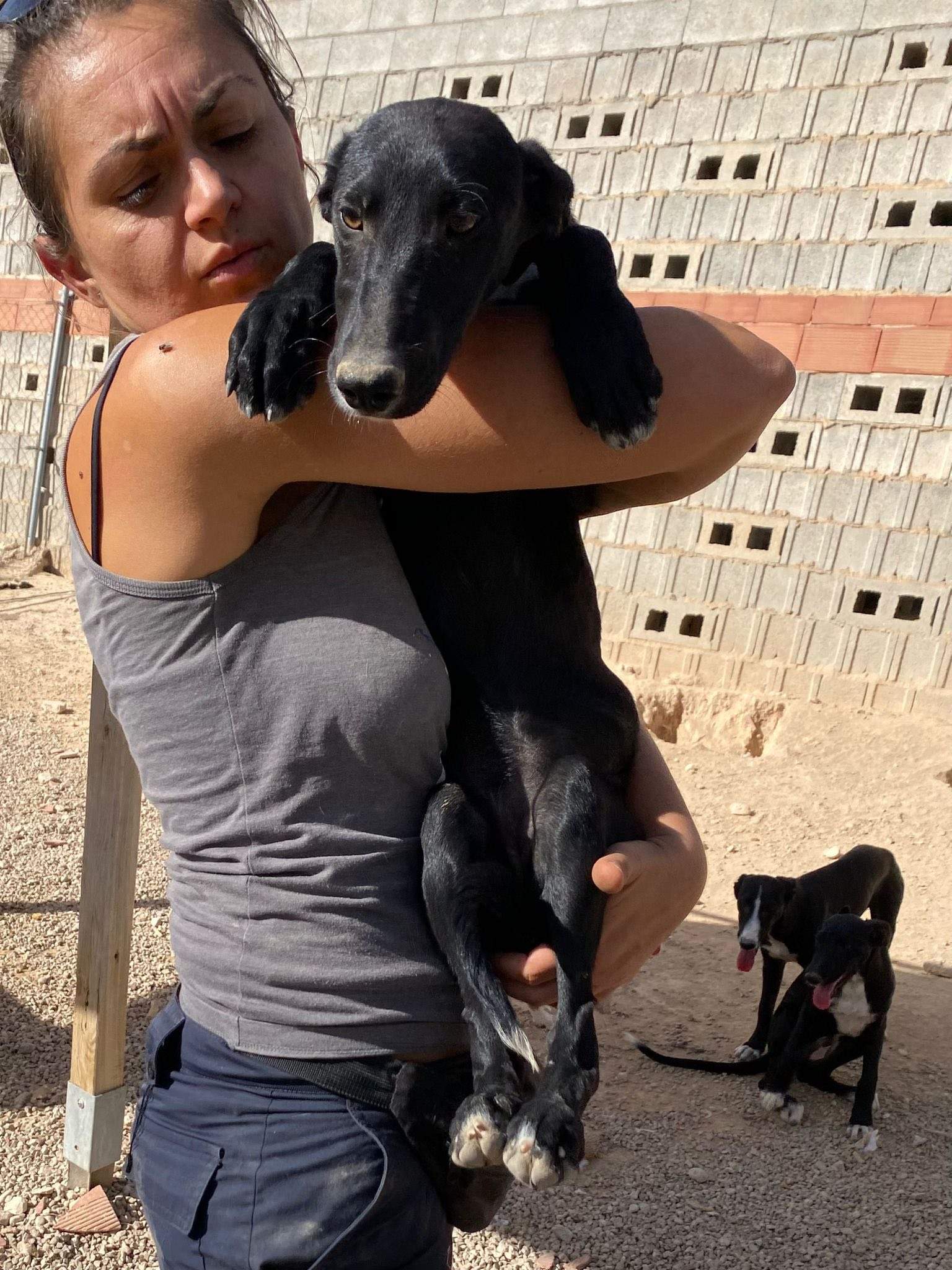 bella_1138072061866414