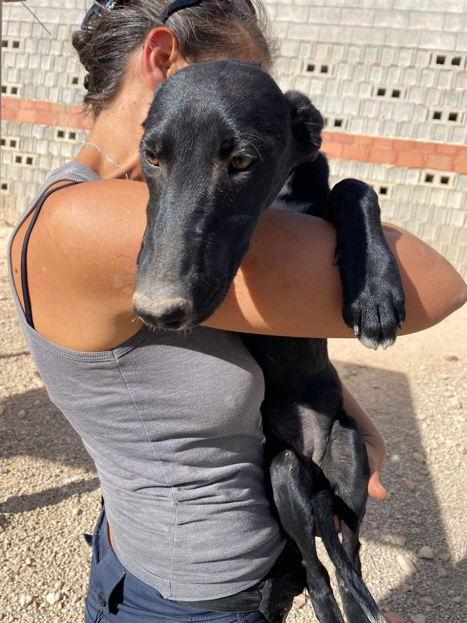 bella_1138072178533069