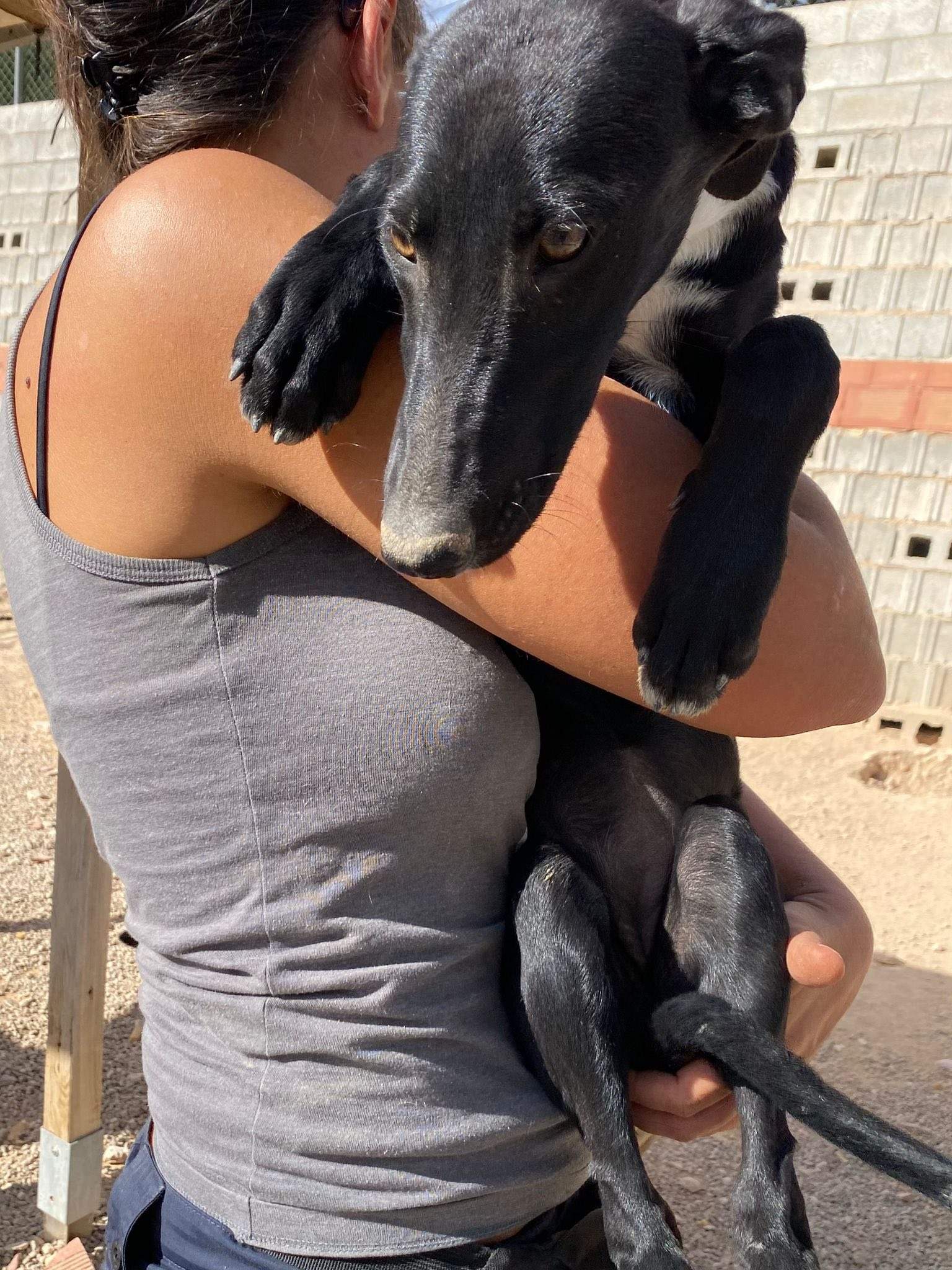 bella_1138072208533066