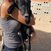 bella_1138072238533063