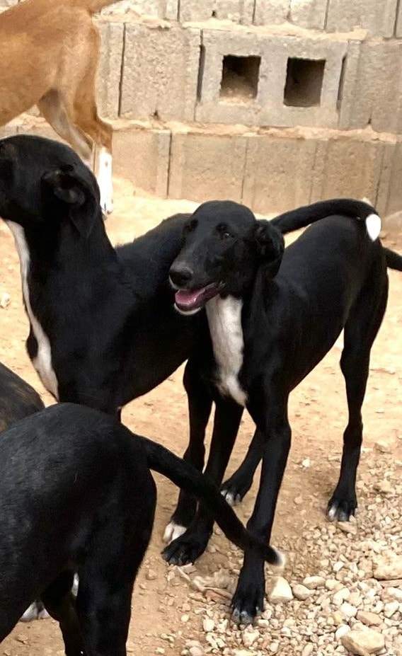 bella_1152258493781104