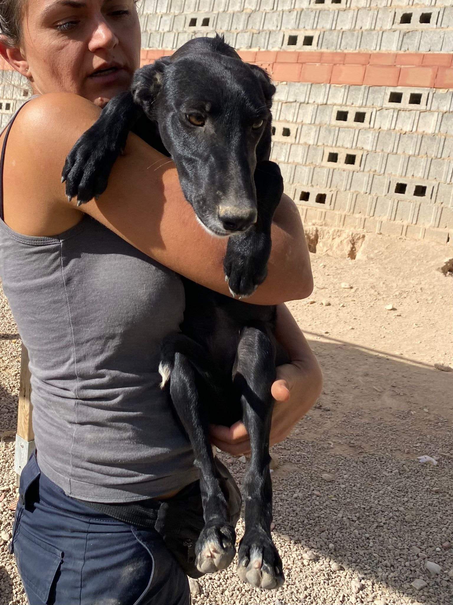 bella_1152258713781082