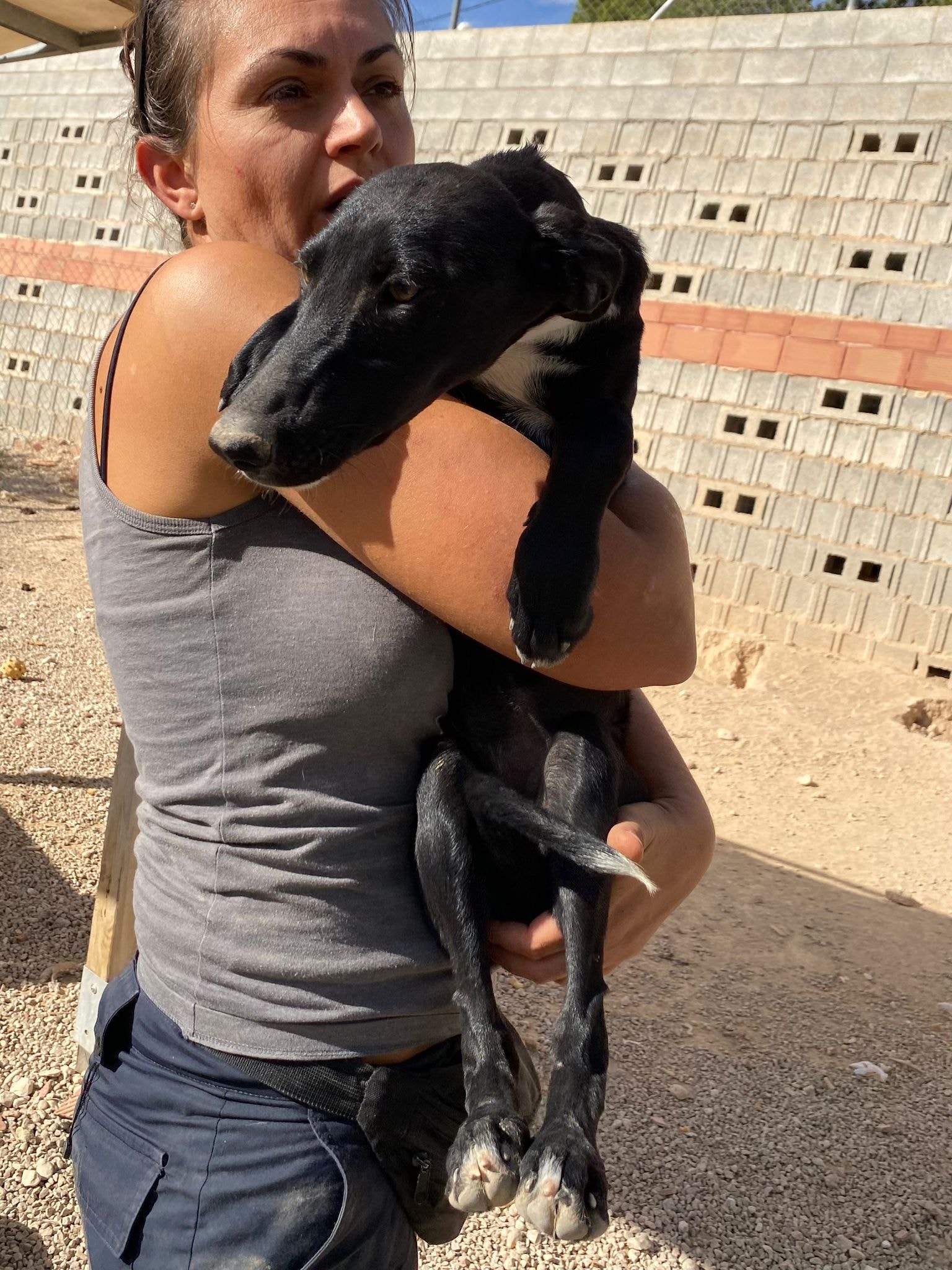 bella_1152258743781079