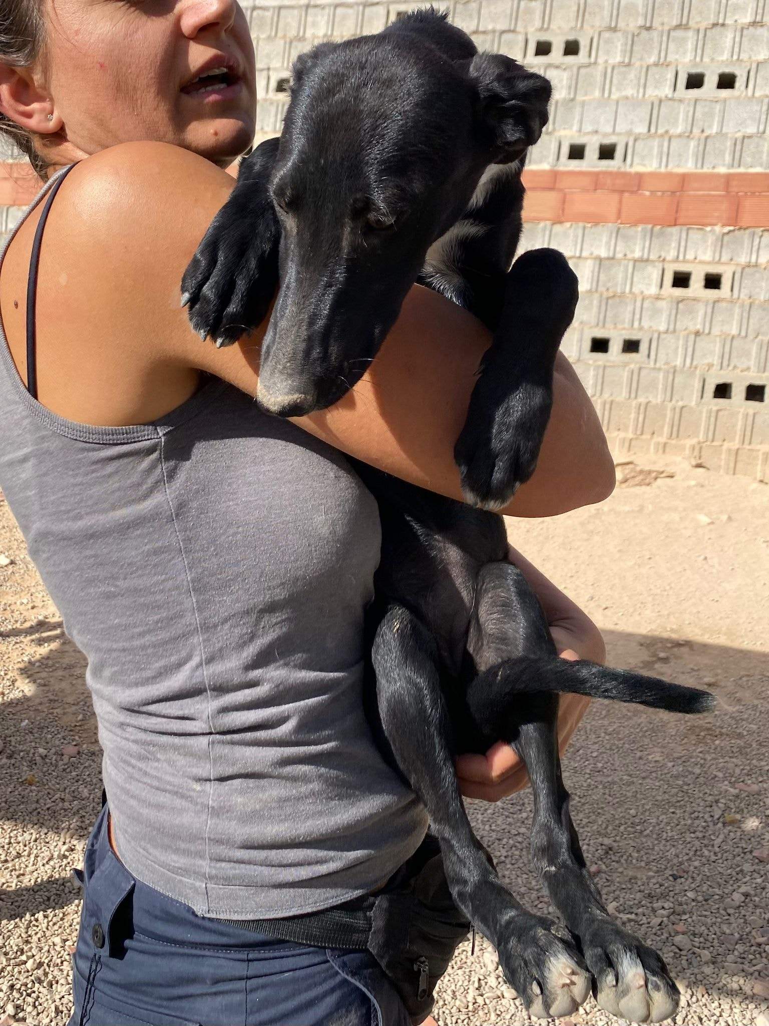 bella_1152258777114409