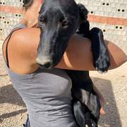 bella_1152258917114395