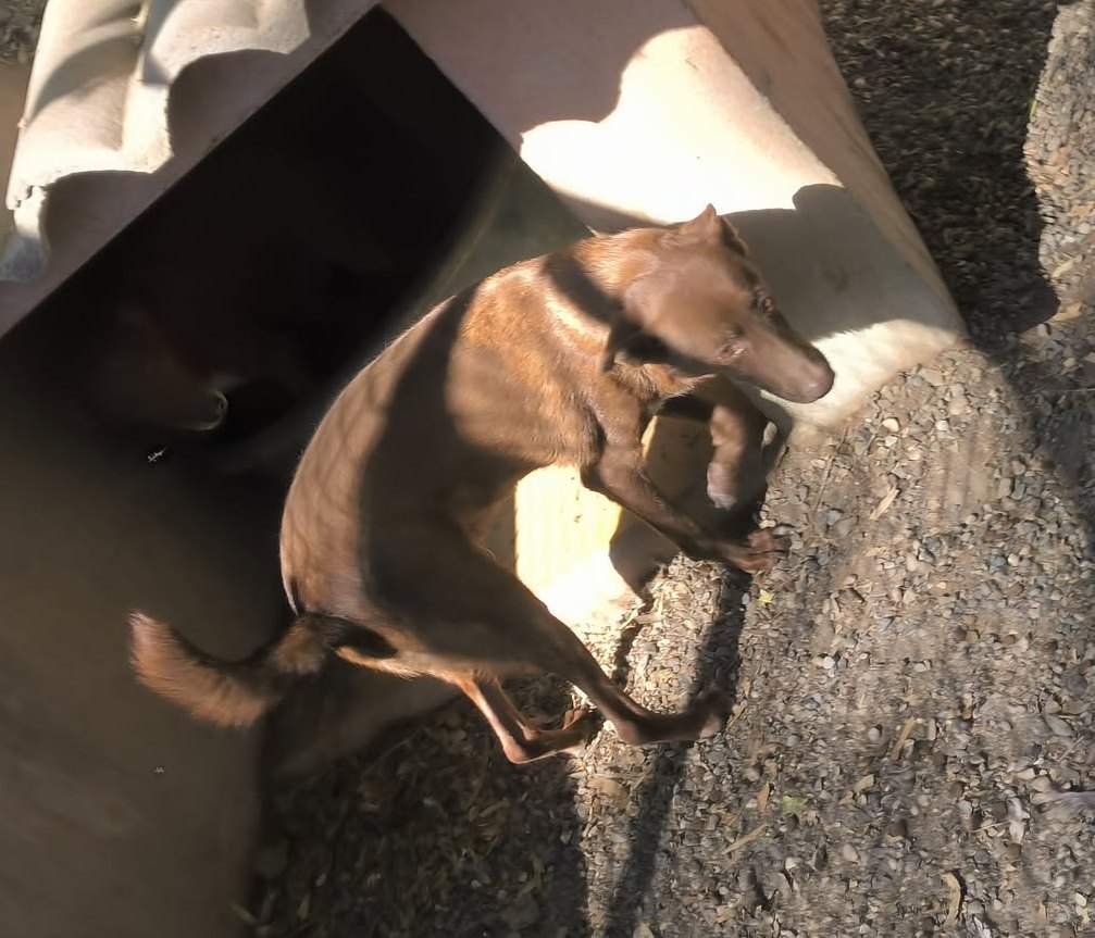 benny_1415451057461845