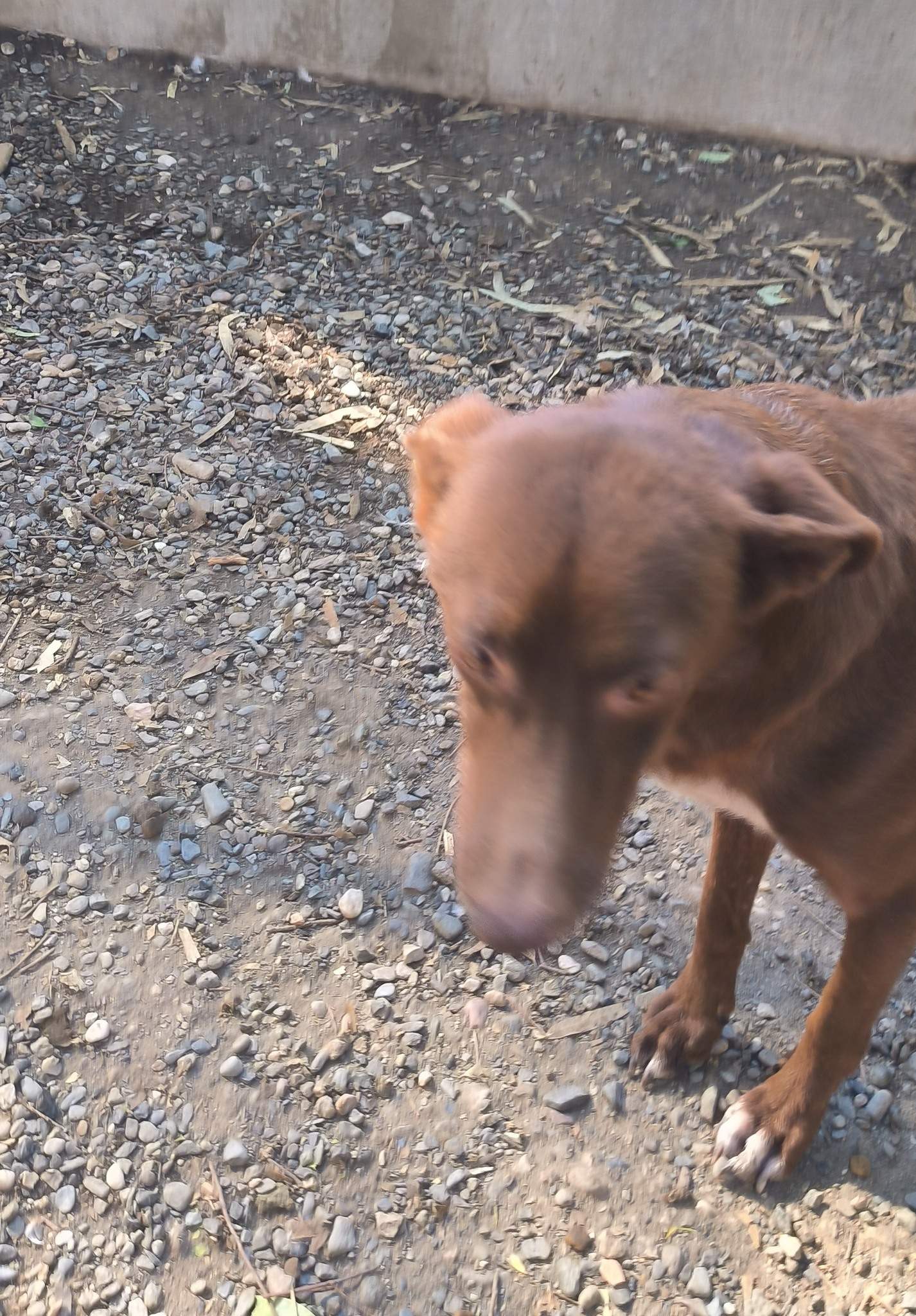 benny_1415451164128501