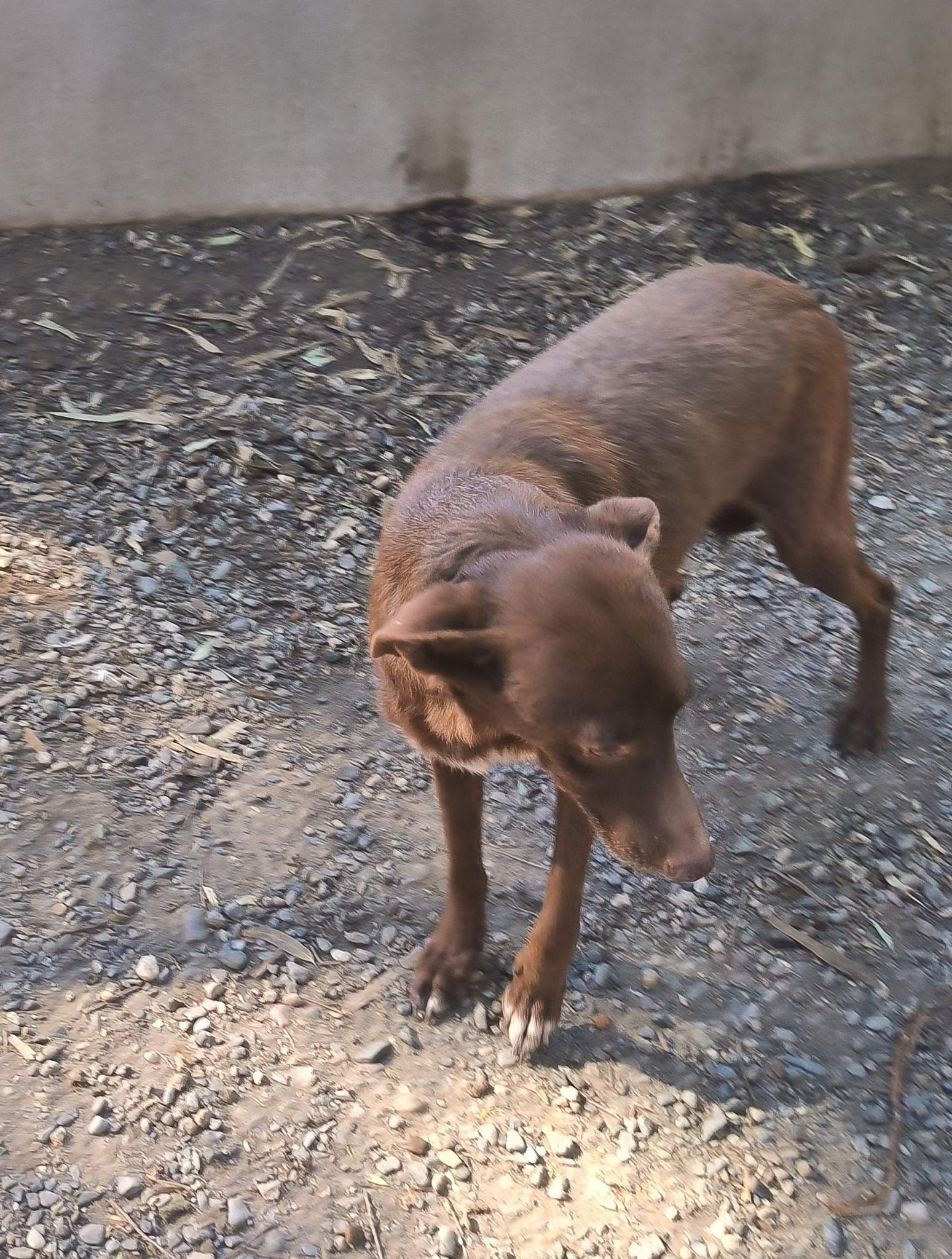 benny_1415451170795167