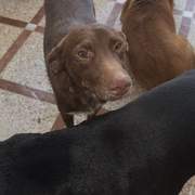 benny_1428837136123237
