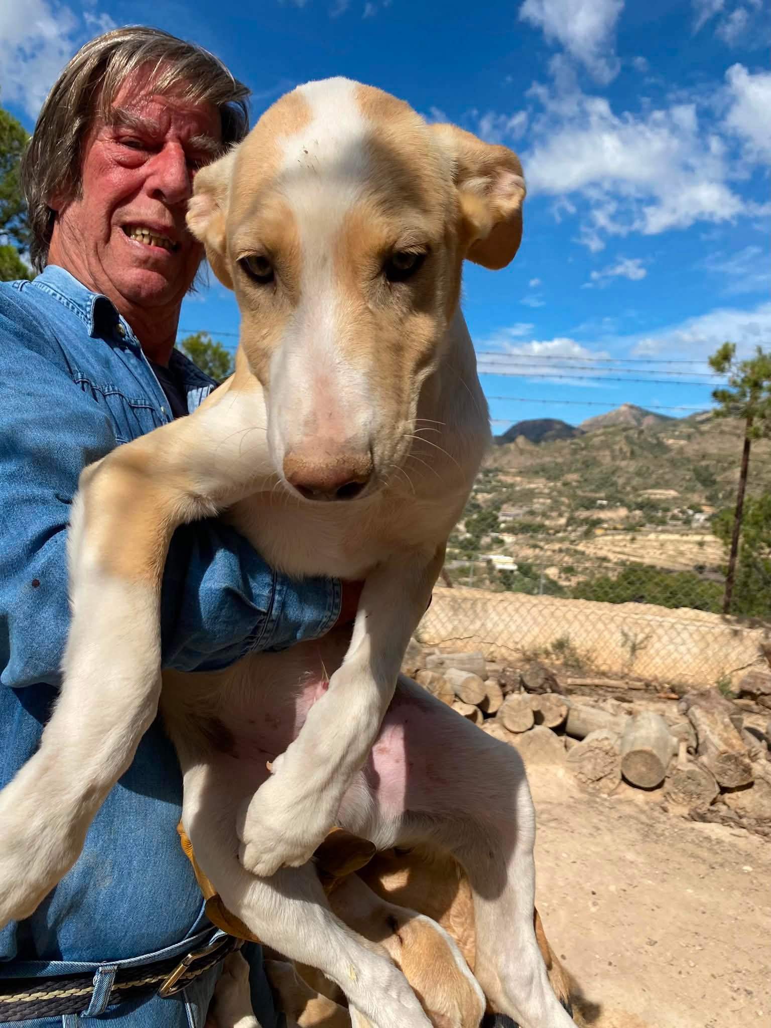 bertie-the-puppy_1294012876272331