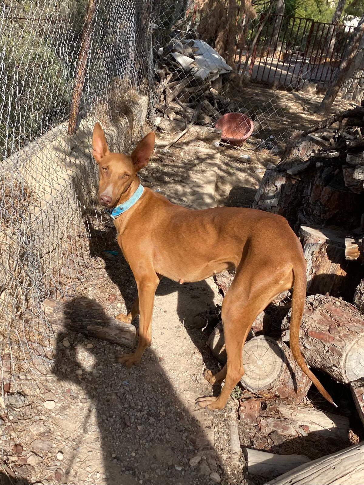 borrasca_1157192749954345