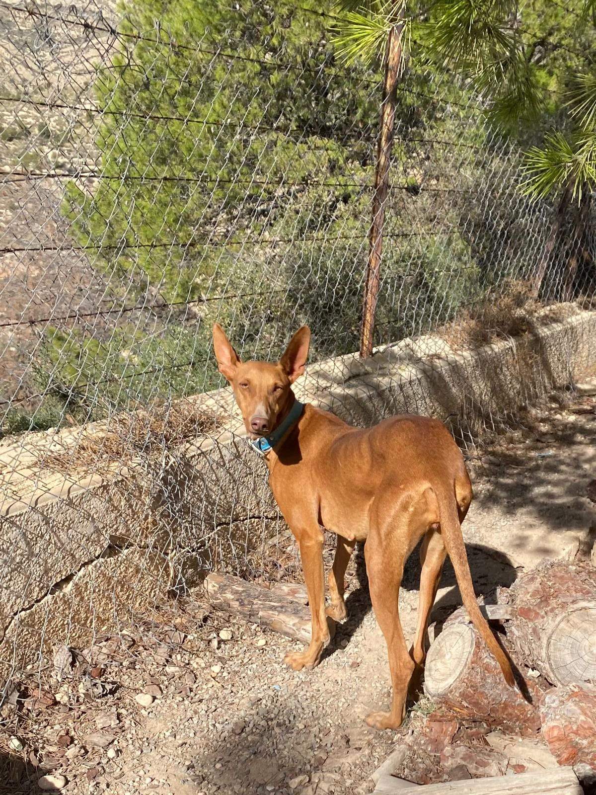 borrasca_1157192759954344