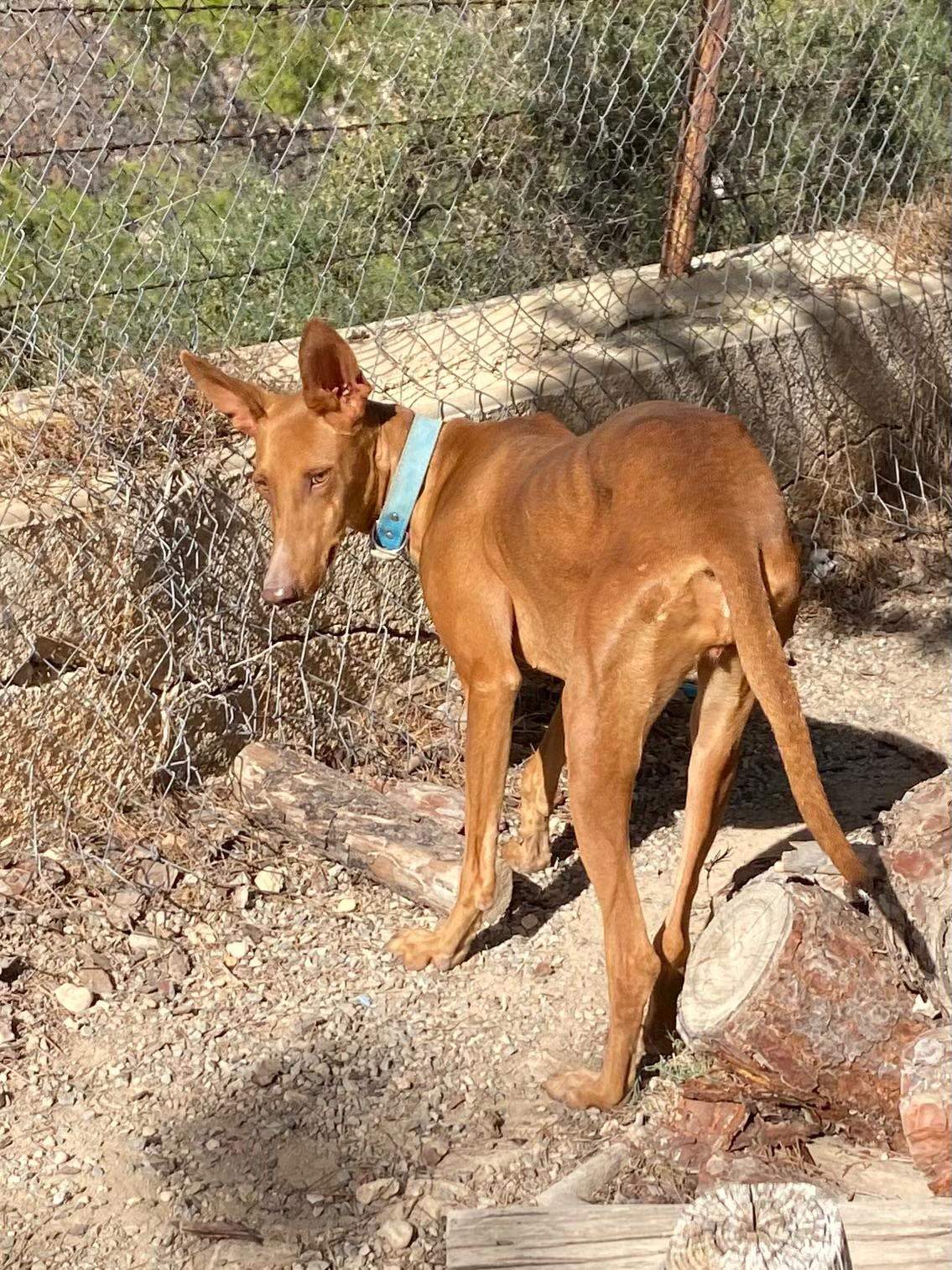 borrasca_1157192799954340