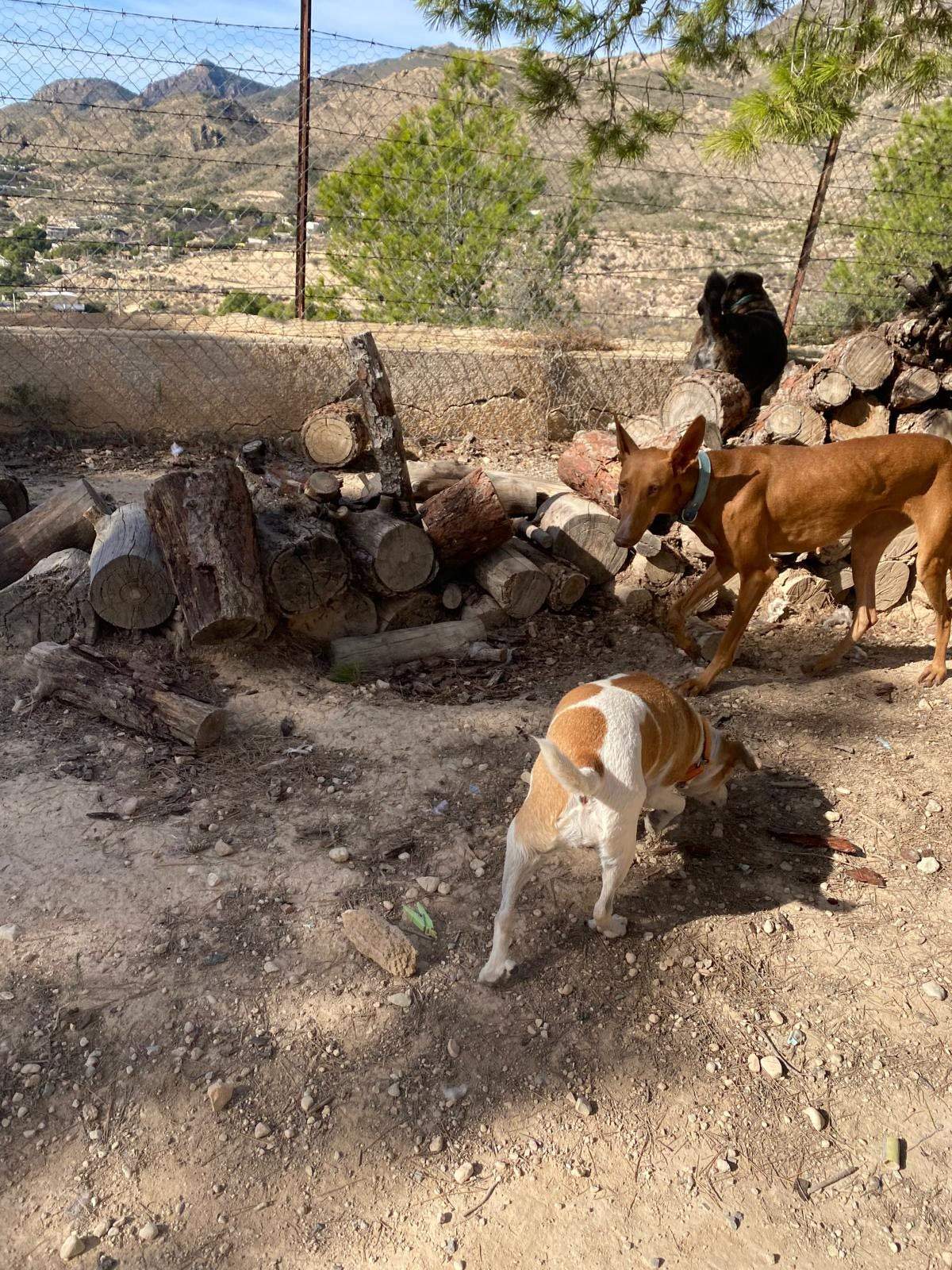 borrasca_1157192819954338