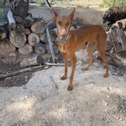 borrasca_1157192856621001