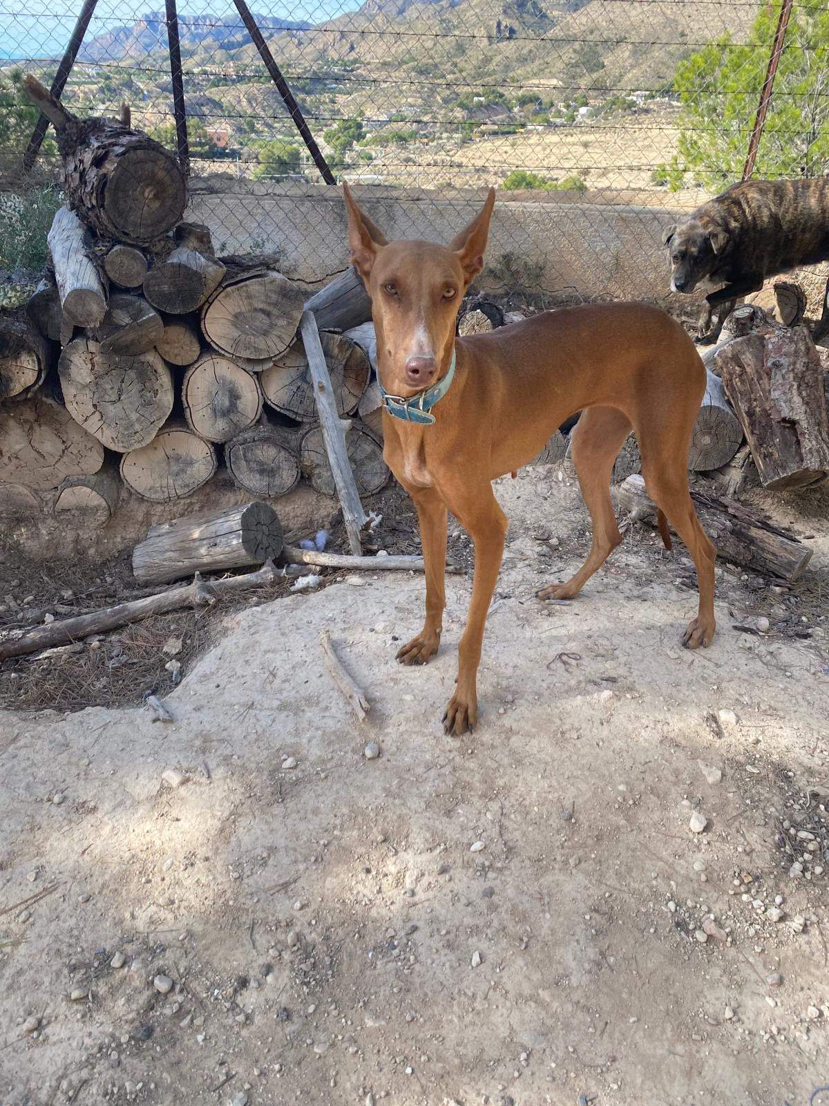 borrasca_1157192856621001