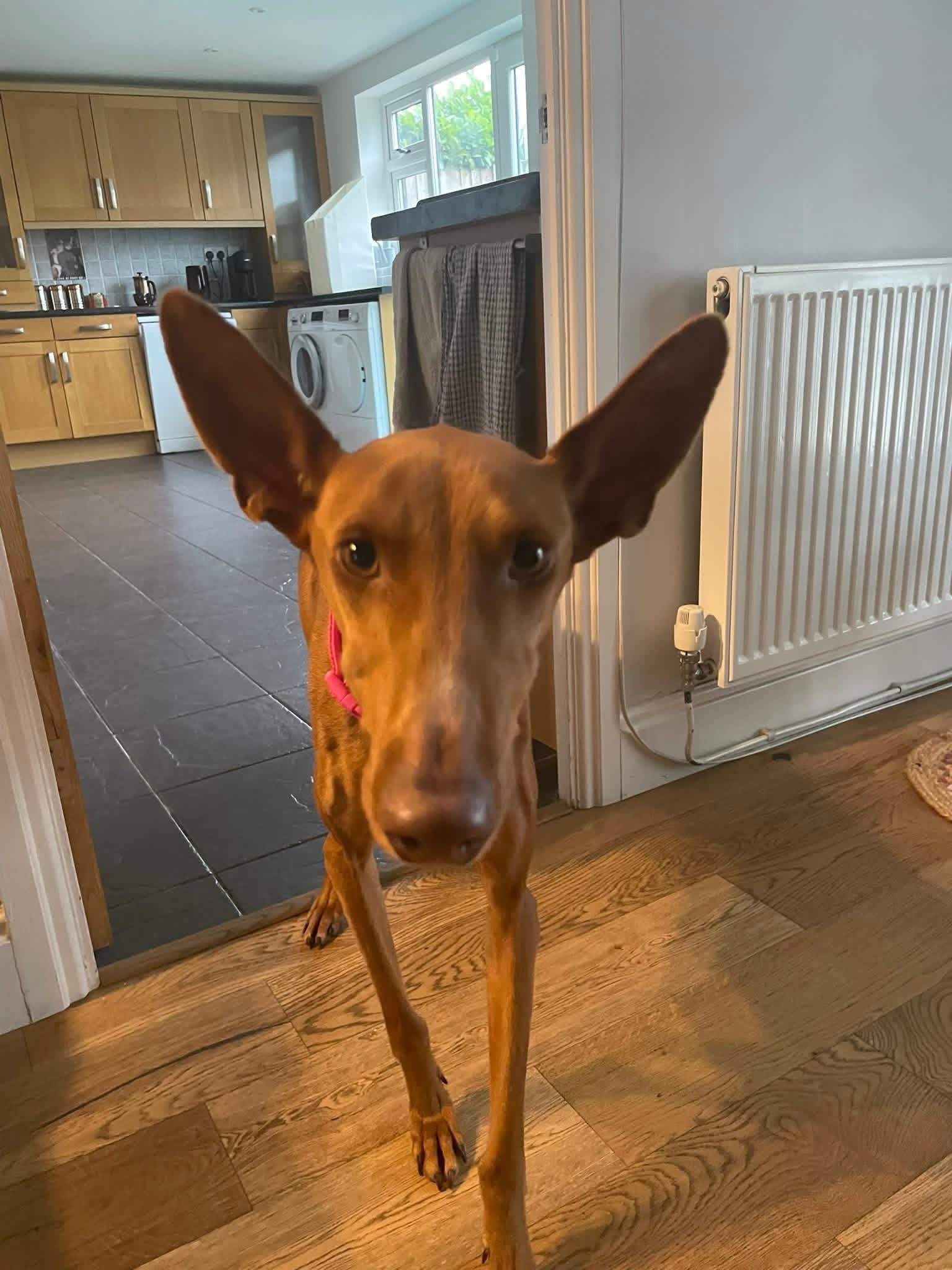 borrasca_1201567905516829