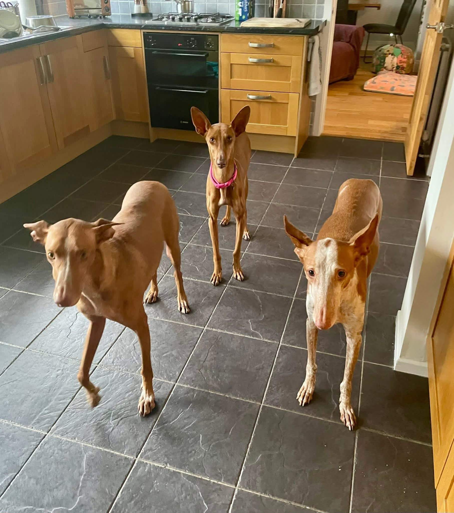 borrasca_1201567922183494