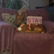 borrasca_1201567968850156