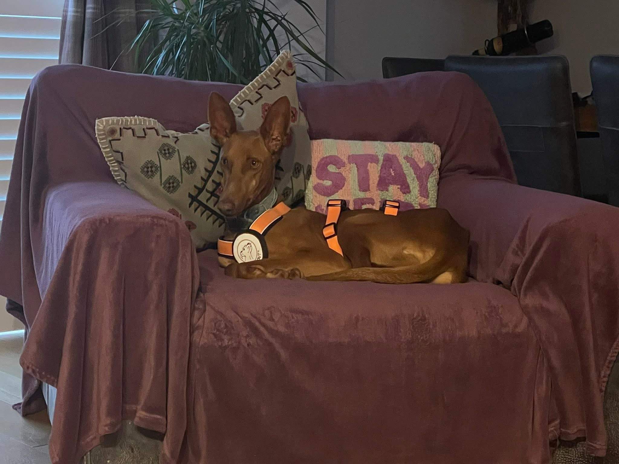 borrasca_1201567968850156