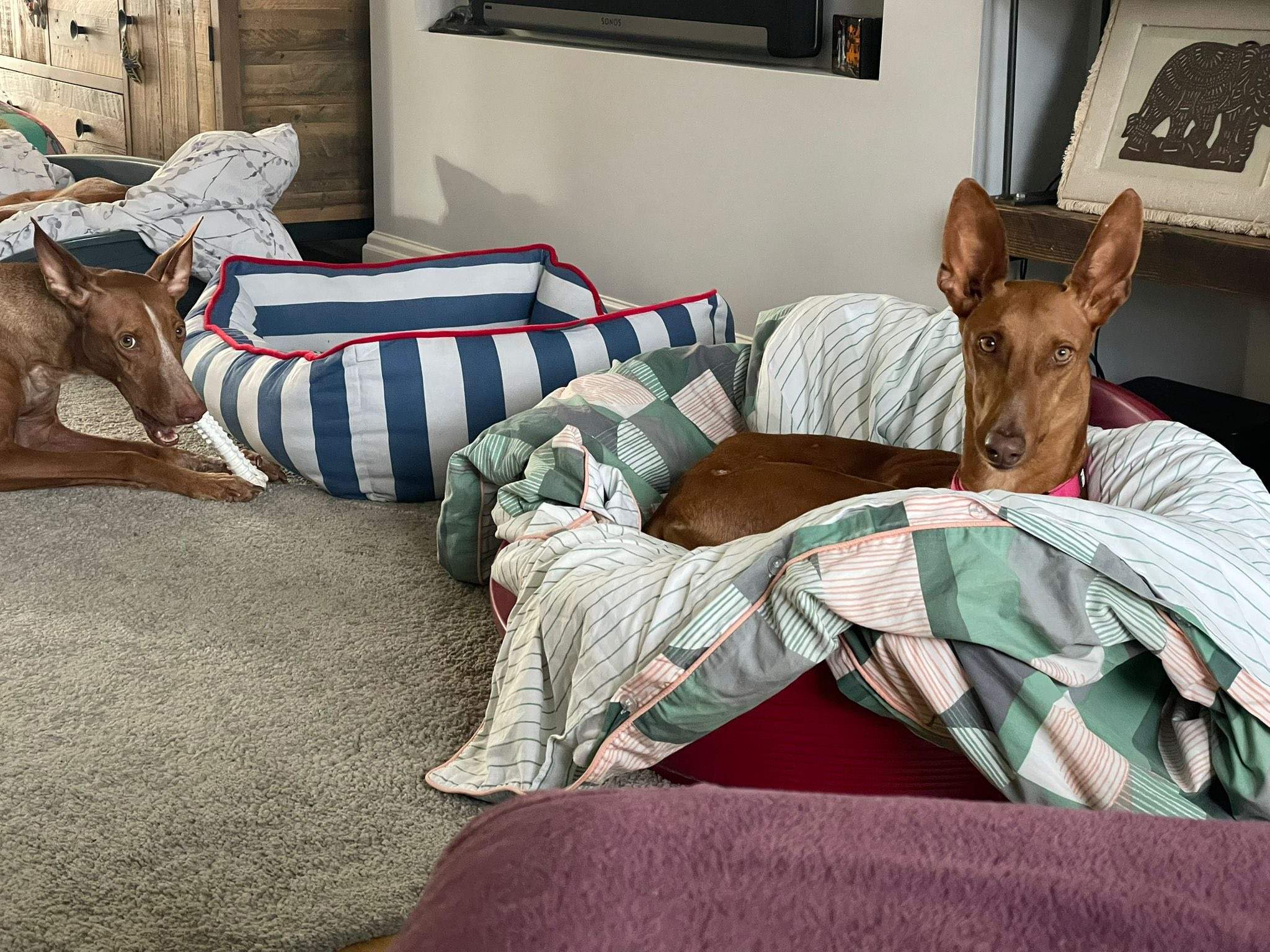 borrasca_1215395430800743