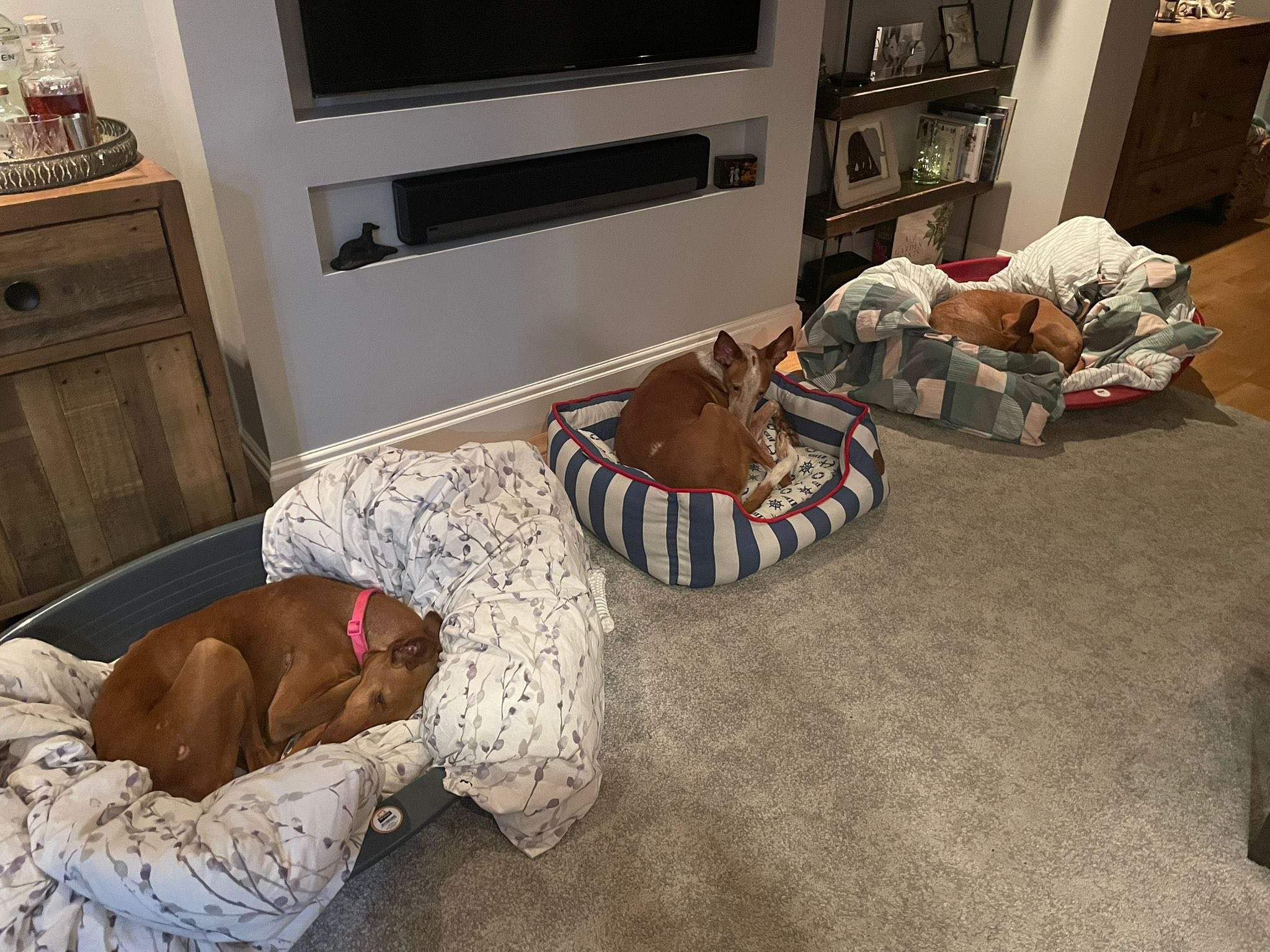 borrasca_1215395444134075