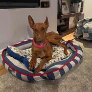 borrasca_1223300280010258