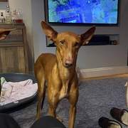 borrasca_1240607598279526