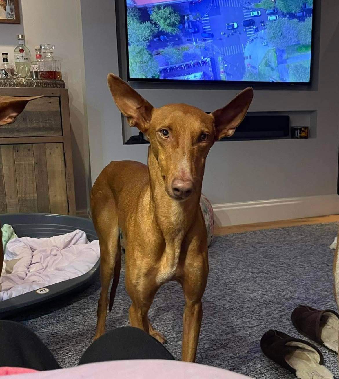 borrasca_1240607598279526