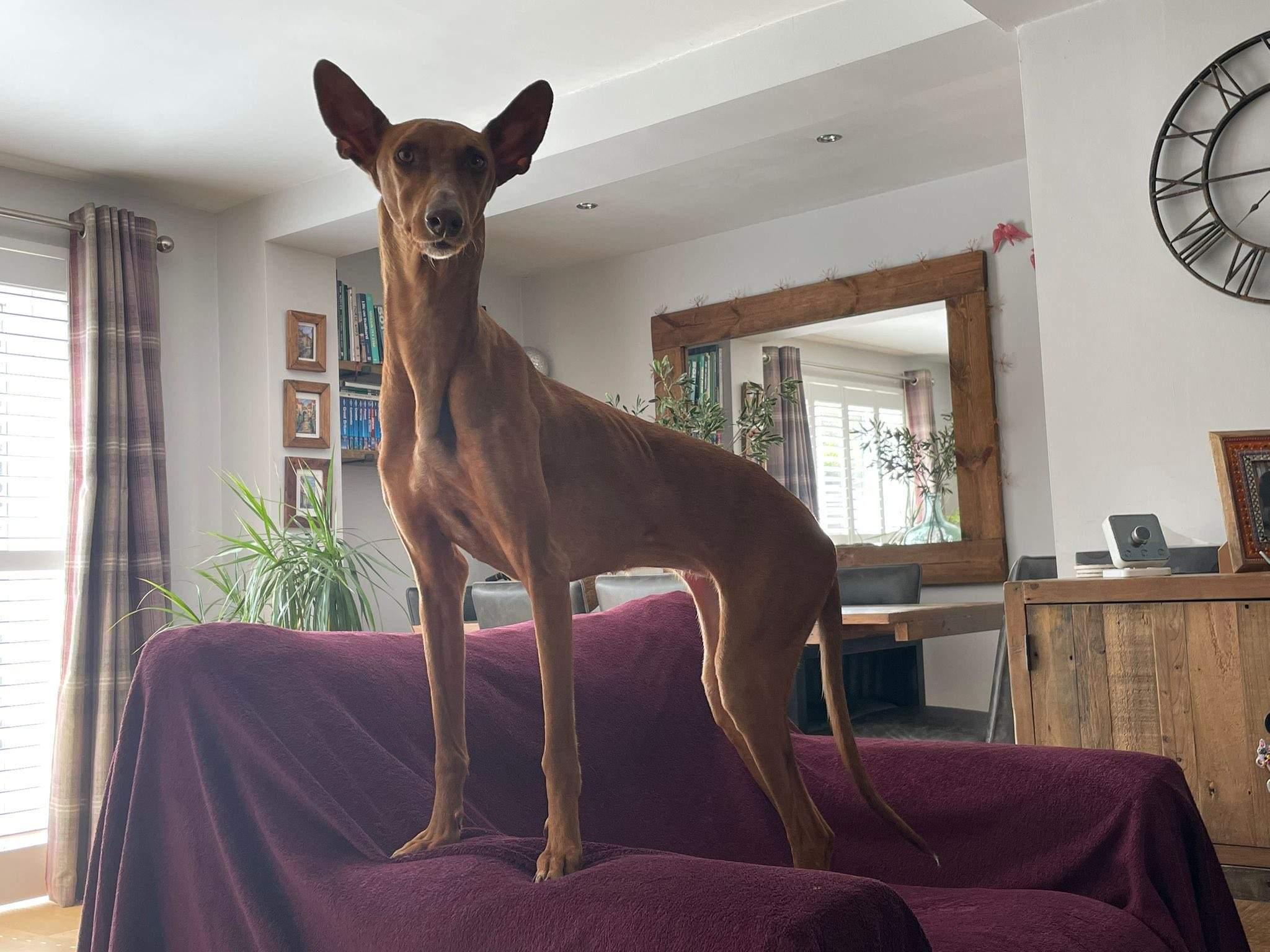 borrasca_1268838382123114