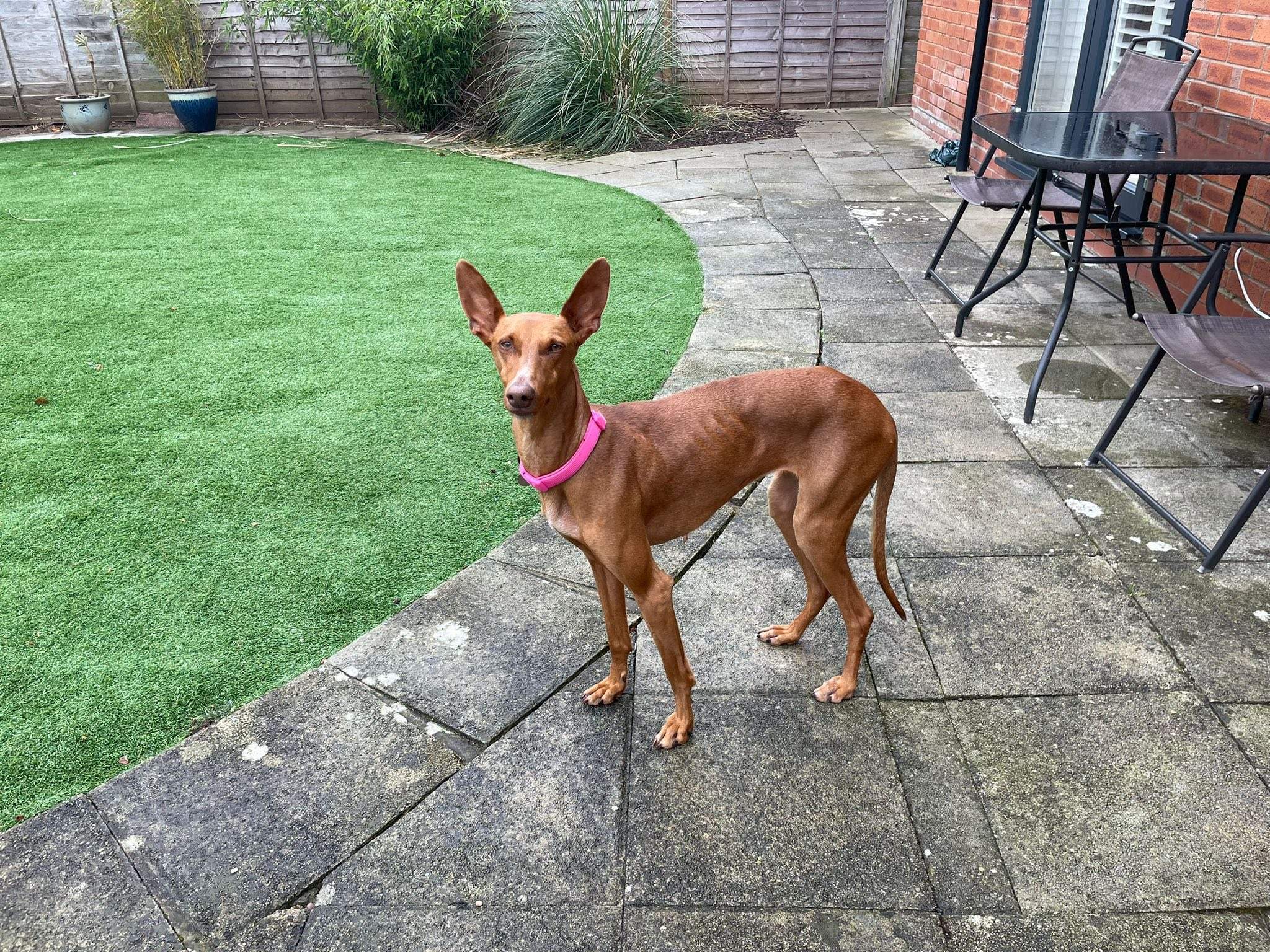 borrasca_1268838485456437