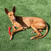 borrasca_1268838498789769