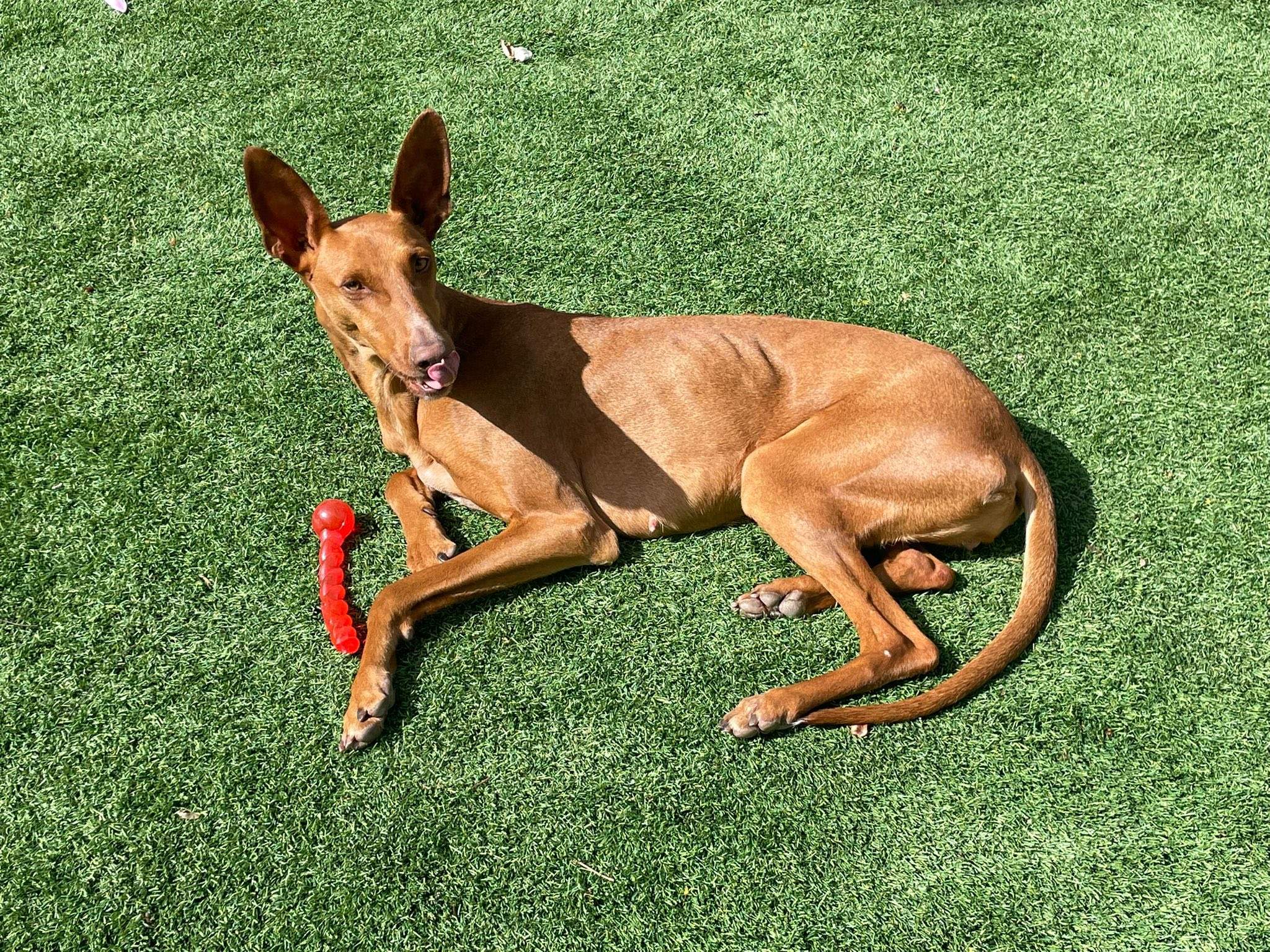 borrasca_1268838498789769