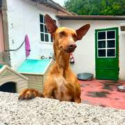 borrasca_1378215577852060