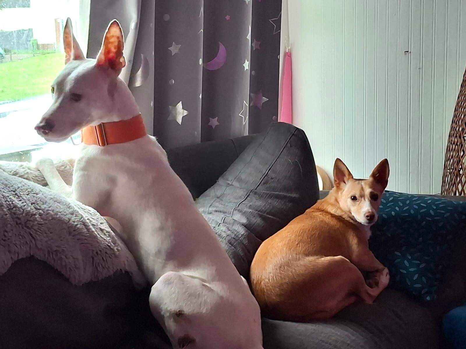 bruno_1173528231654130