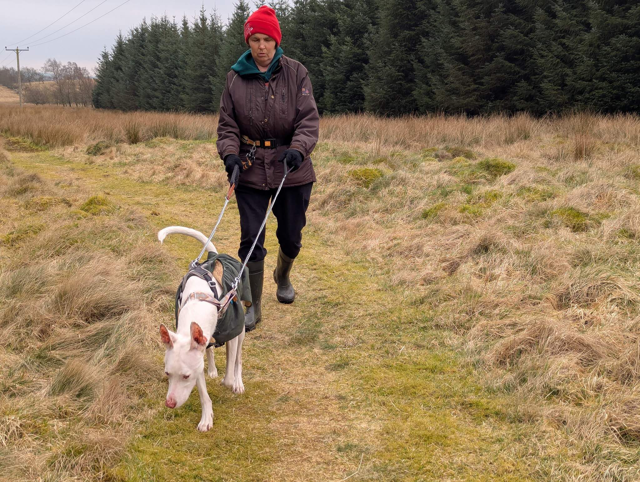 bruno_1238595371814082