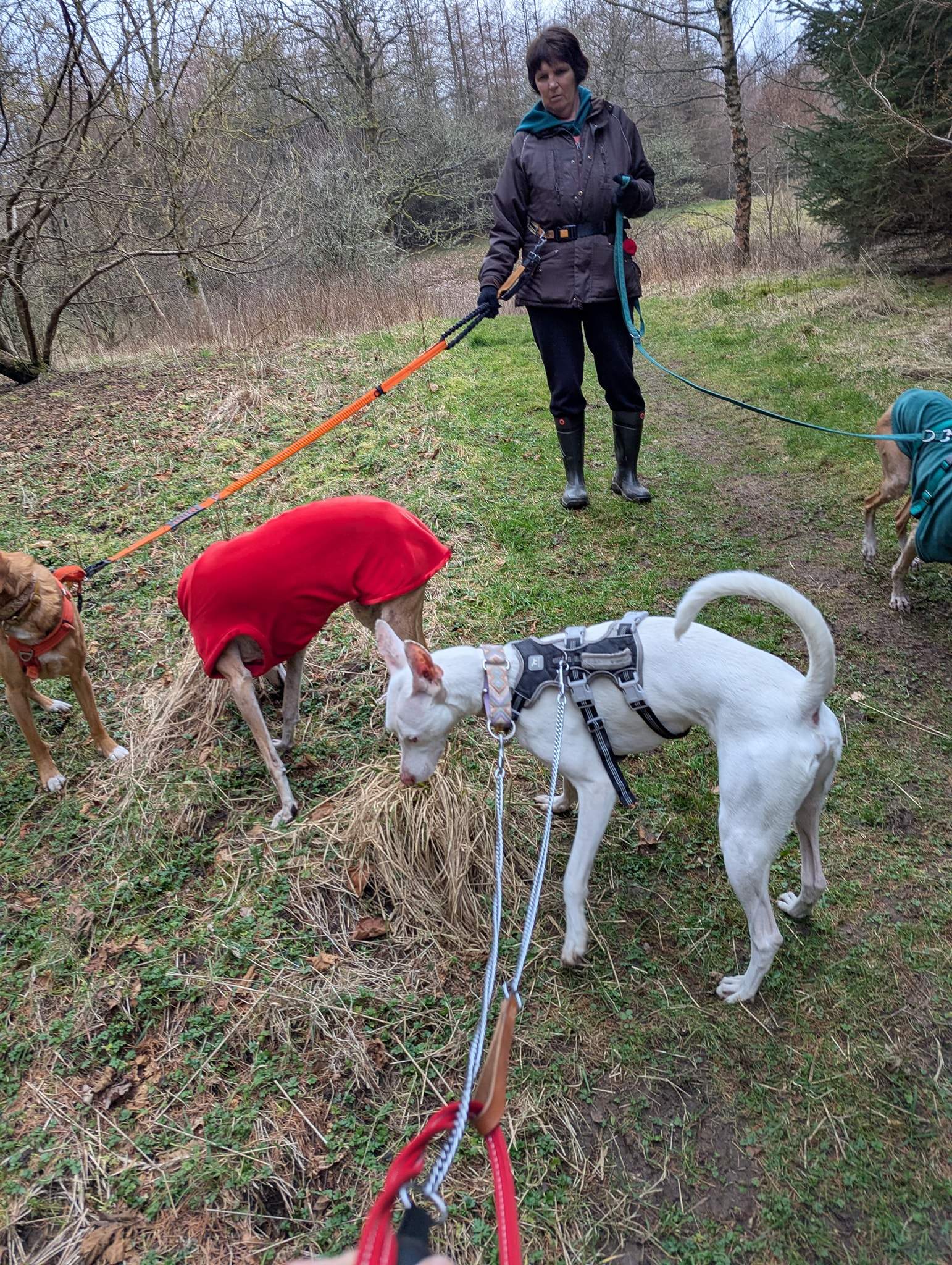 bruno_1238595855147367