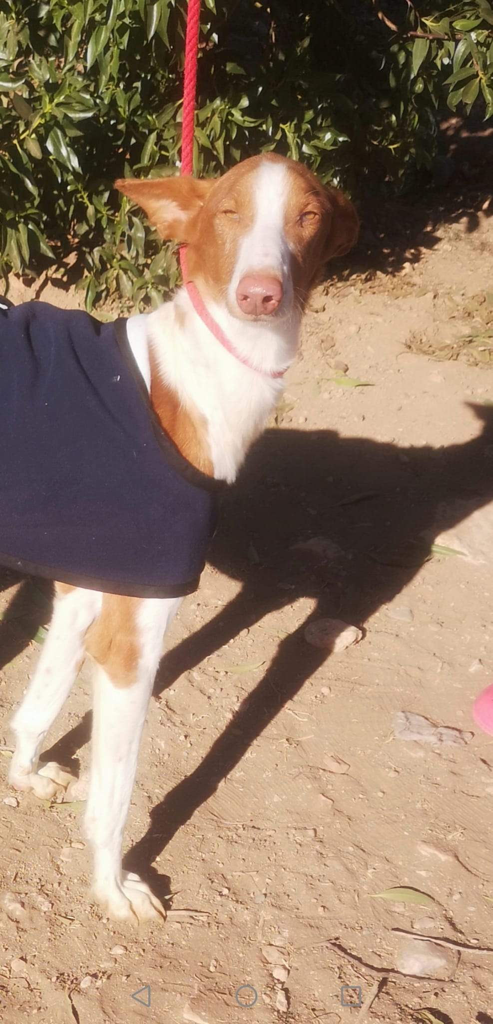 cari_1163140566026230