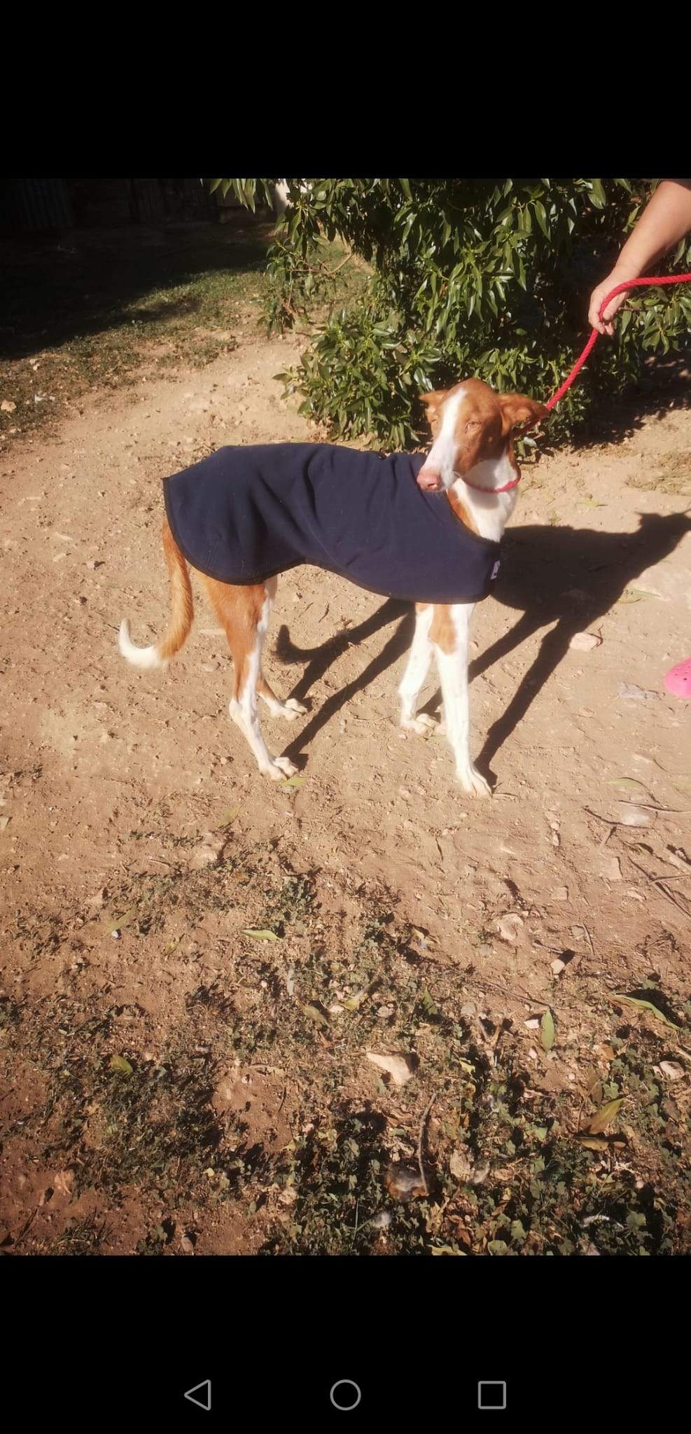 cari_1163140586026228