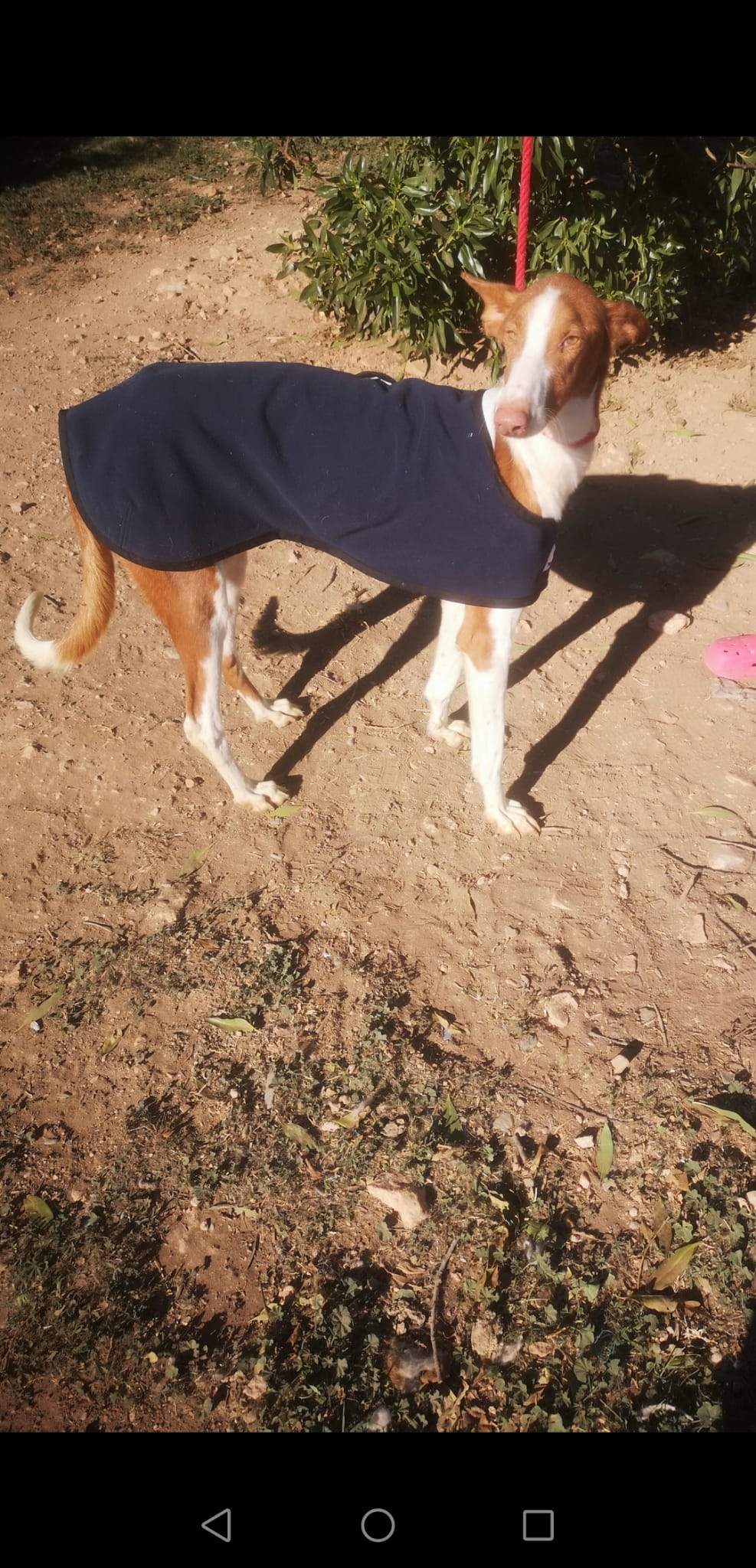 cari_1163140599359560