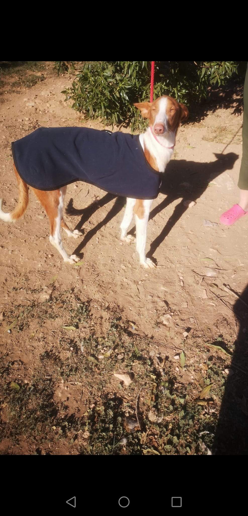 cari_1163140656026221