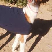 cari_1163140669359553